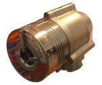 Immagine di Flame Detectors